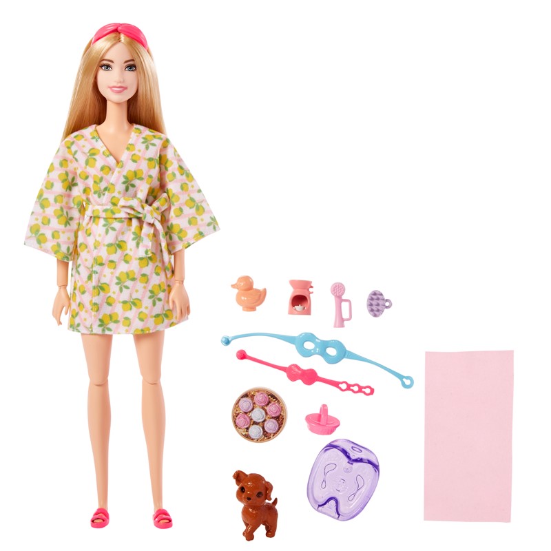 BARBIE GKH73 Barbie Fabulous Wellness Doll (Assorted) | Isetan KL Online Store